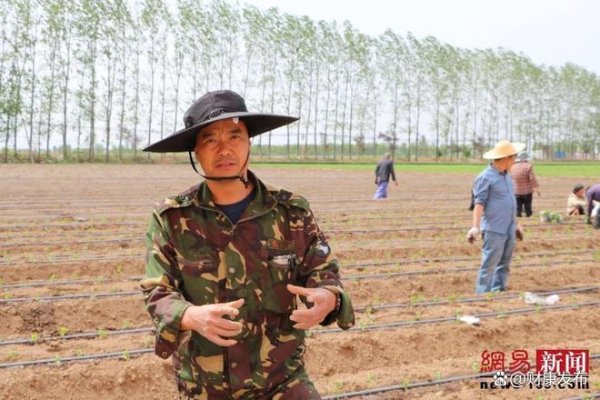 安全配资门户 从商海到田园：一位返乡创业者的“金丝皇菊”致富梦