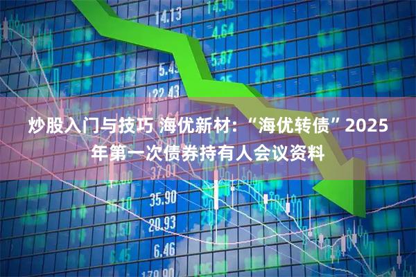 炒股入门与技巧 海优新材: “海优转债”2025年第一次债券持有人会议资料